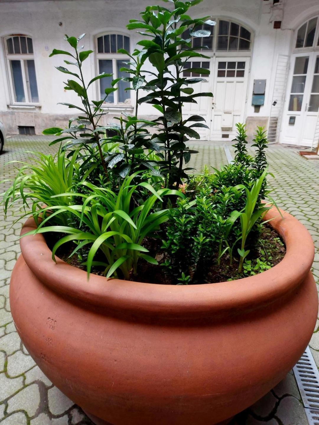 Like Studio City Centrum, Wifi, Terrace Budapest Exterior photo